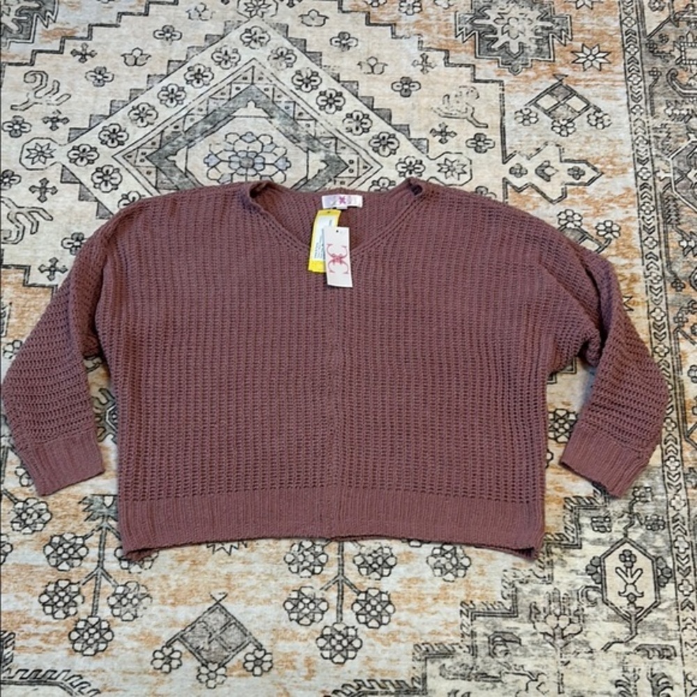 NWT CHLOE + CYRUS M Tania V Neck sweater in dark pink, super soft chenille knit